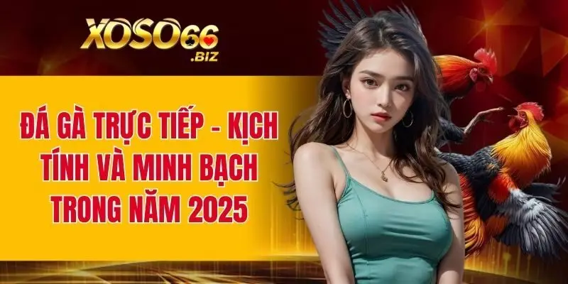 Đá gà trực tiếp